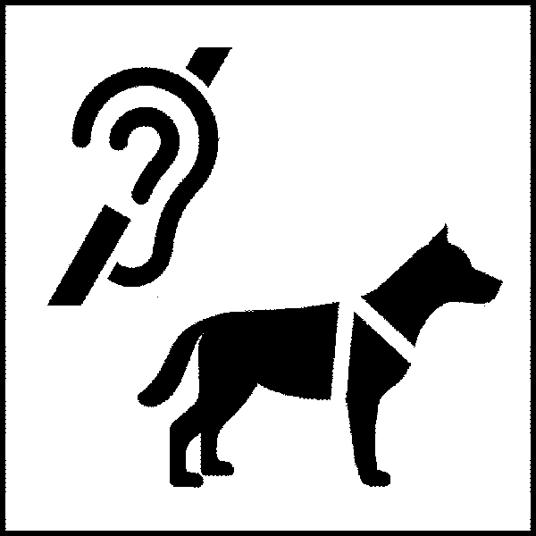 导听犬