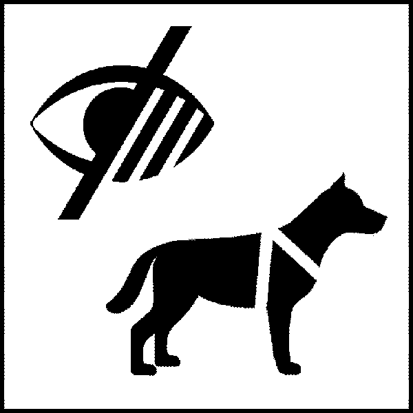 导盲犬